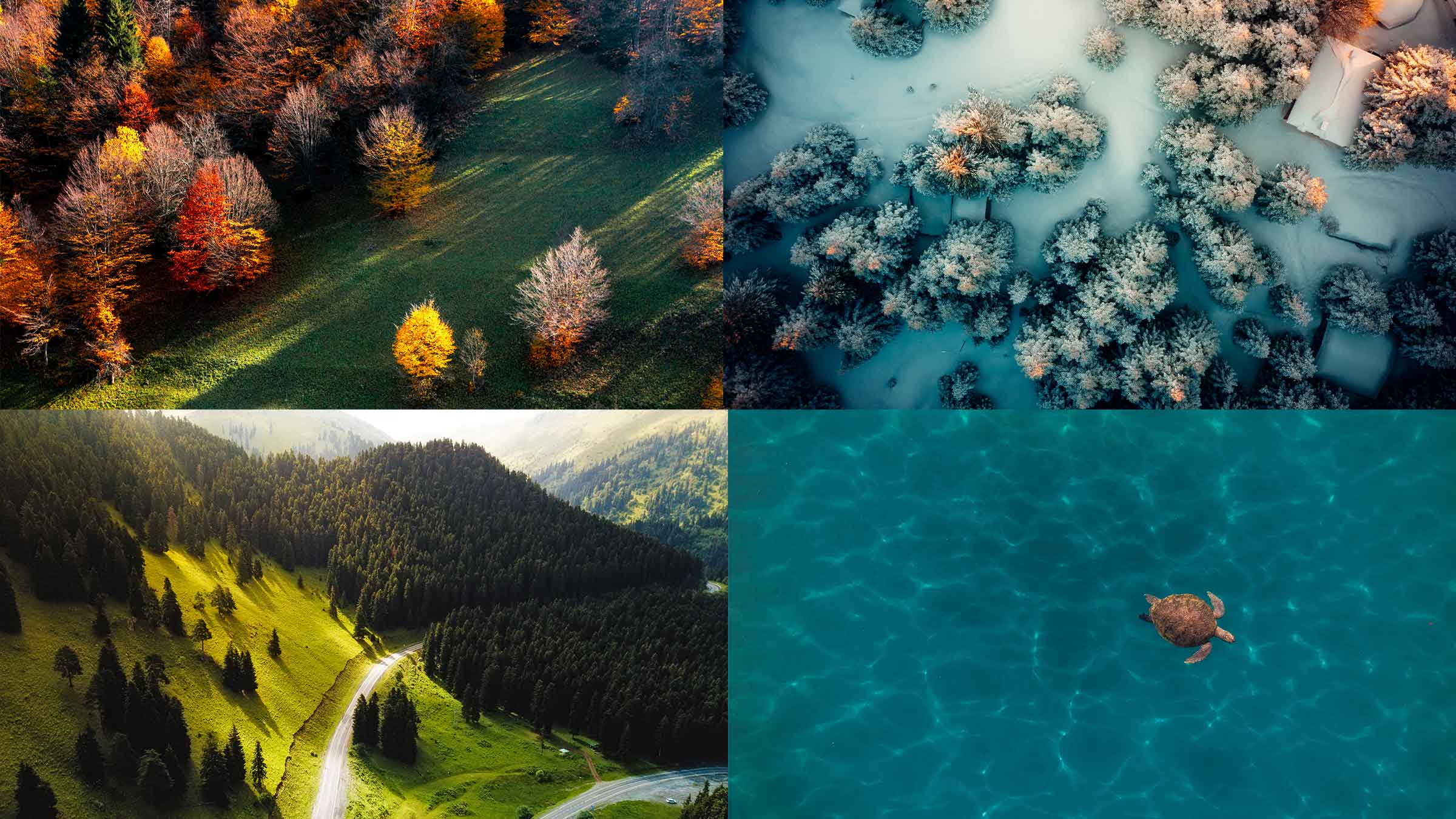 When is the best time to visit Türkiye