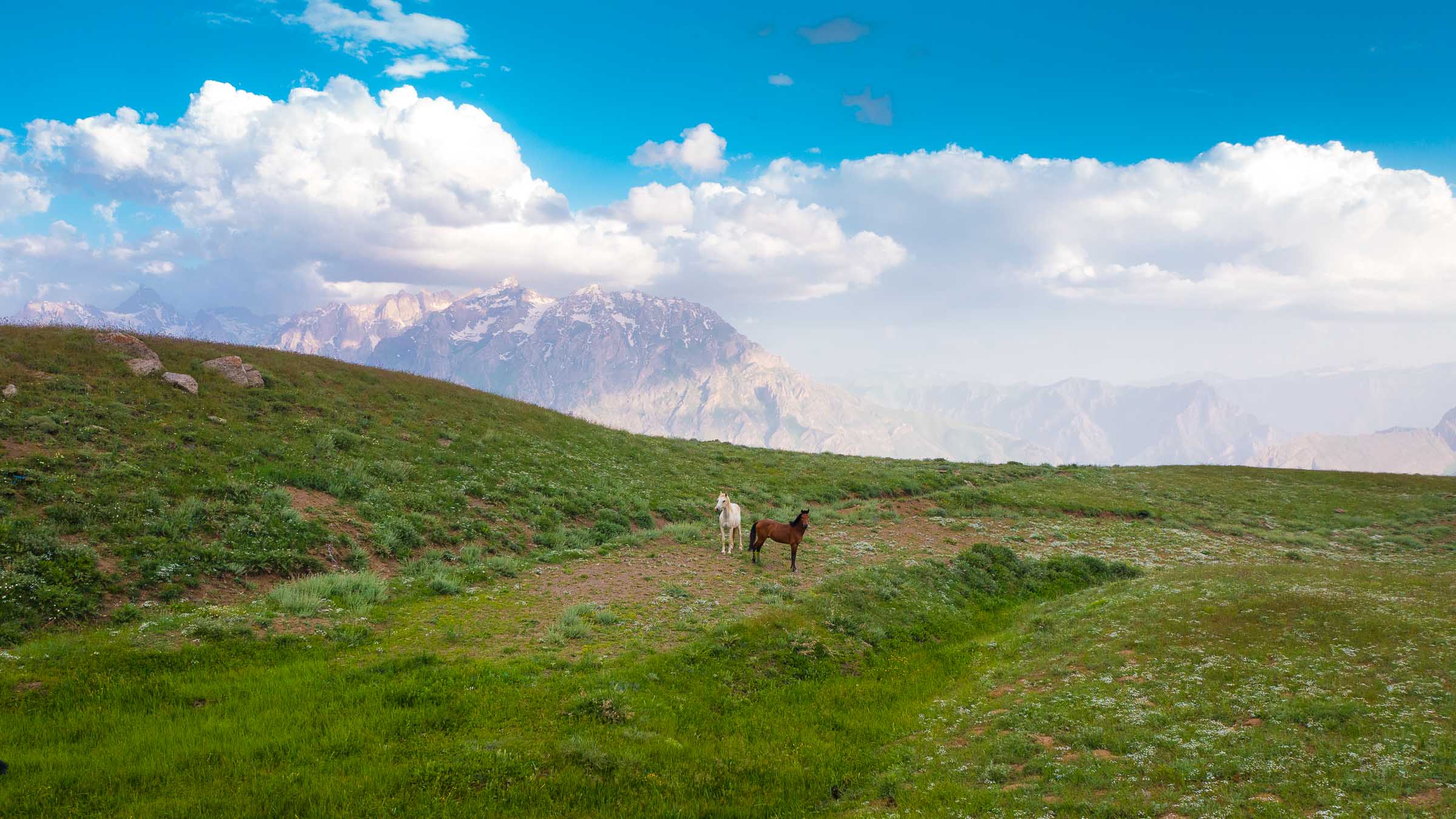 Hakkari