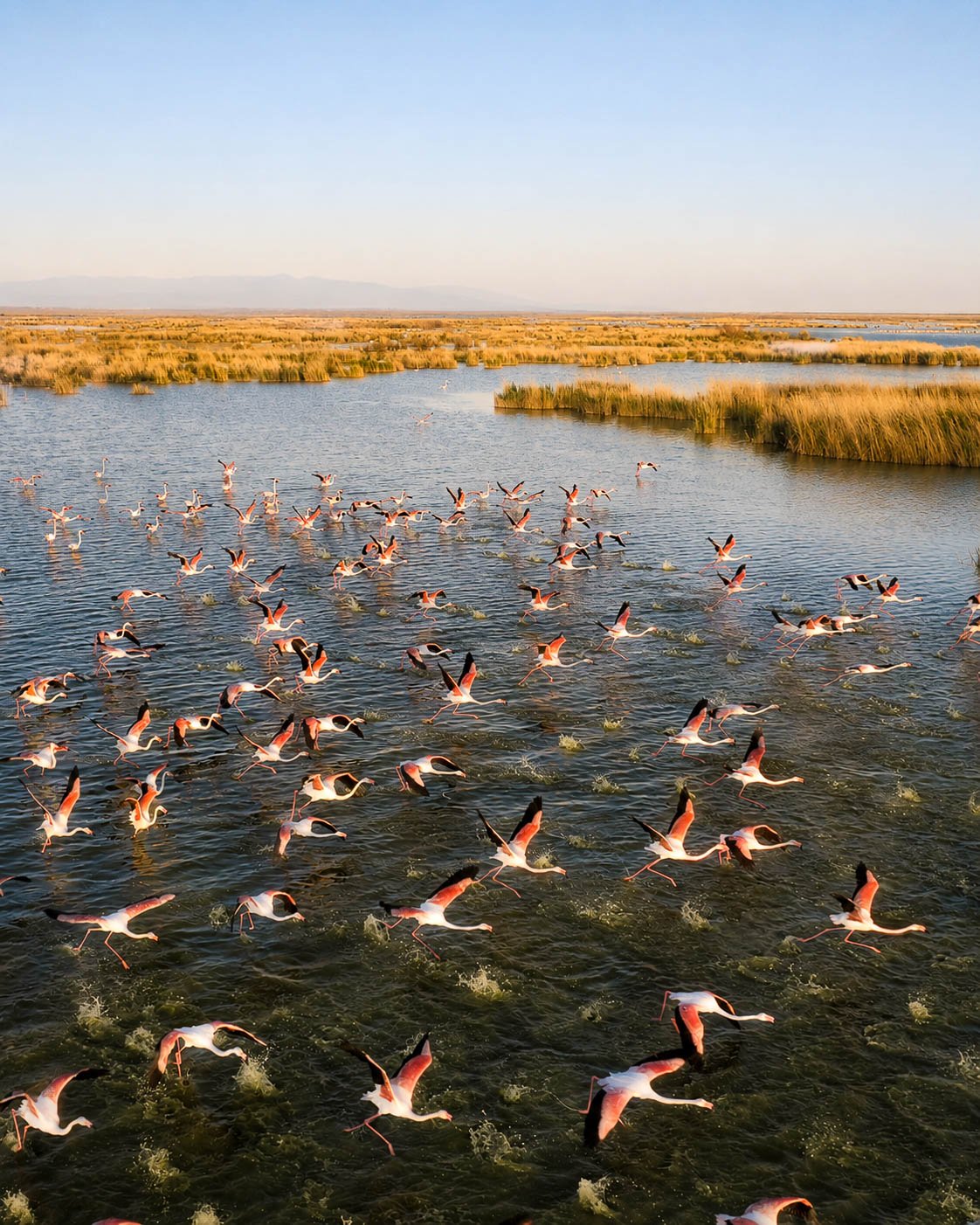 Bird Paradise National Park