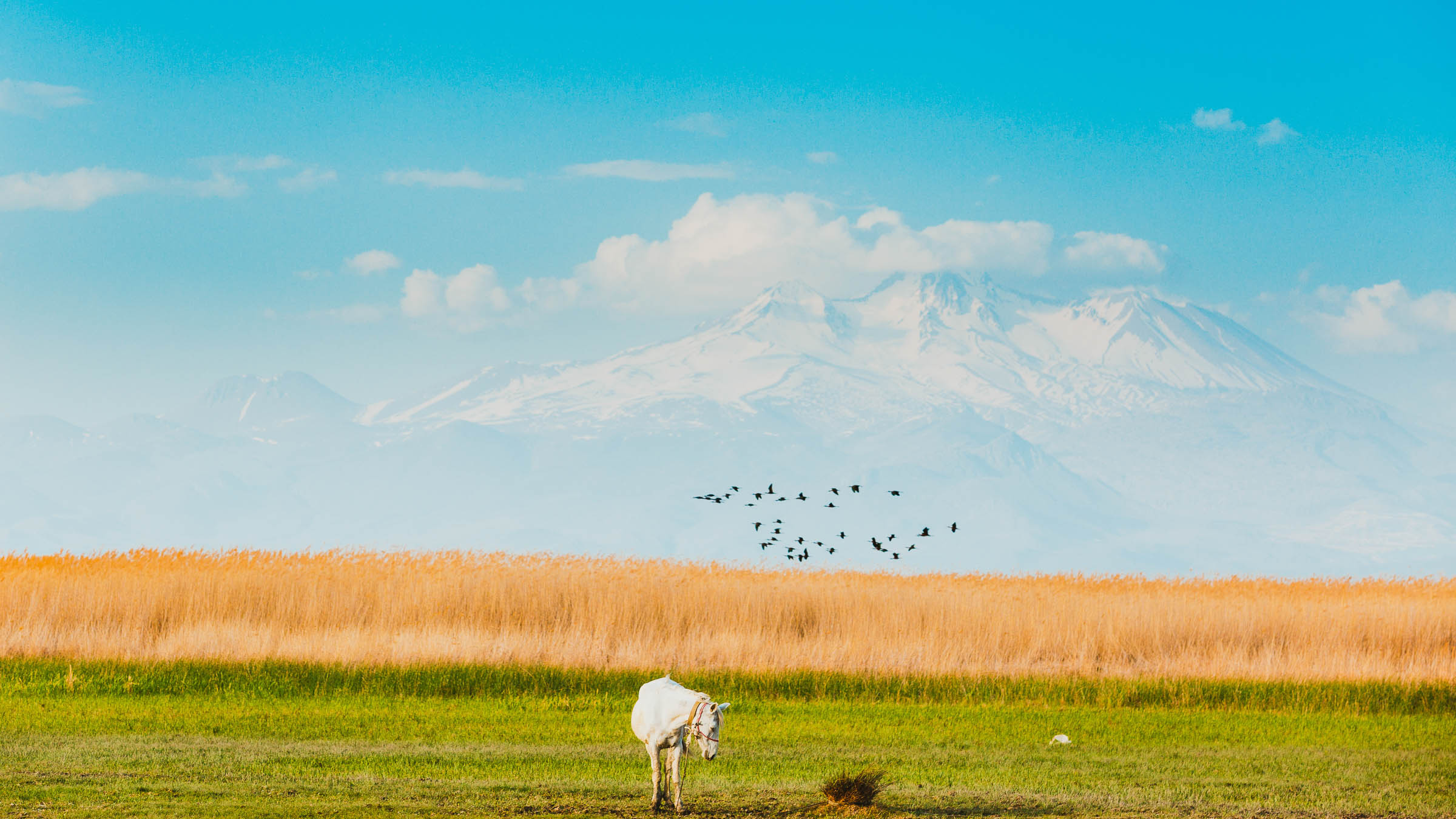 Kayseri