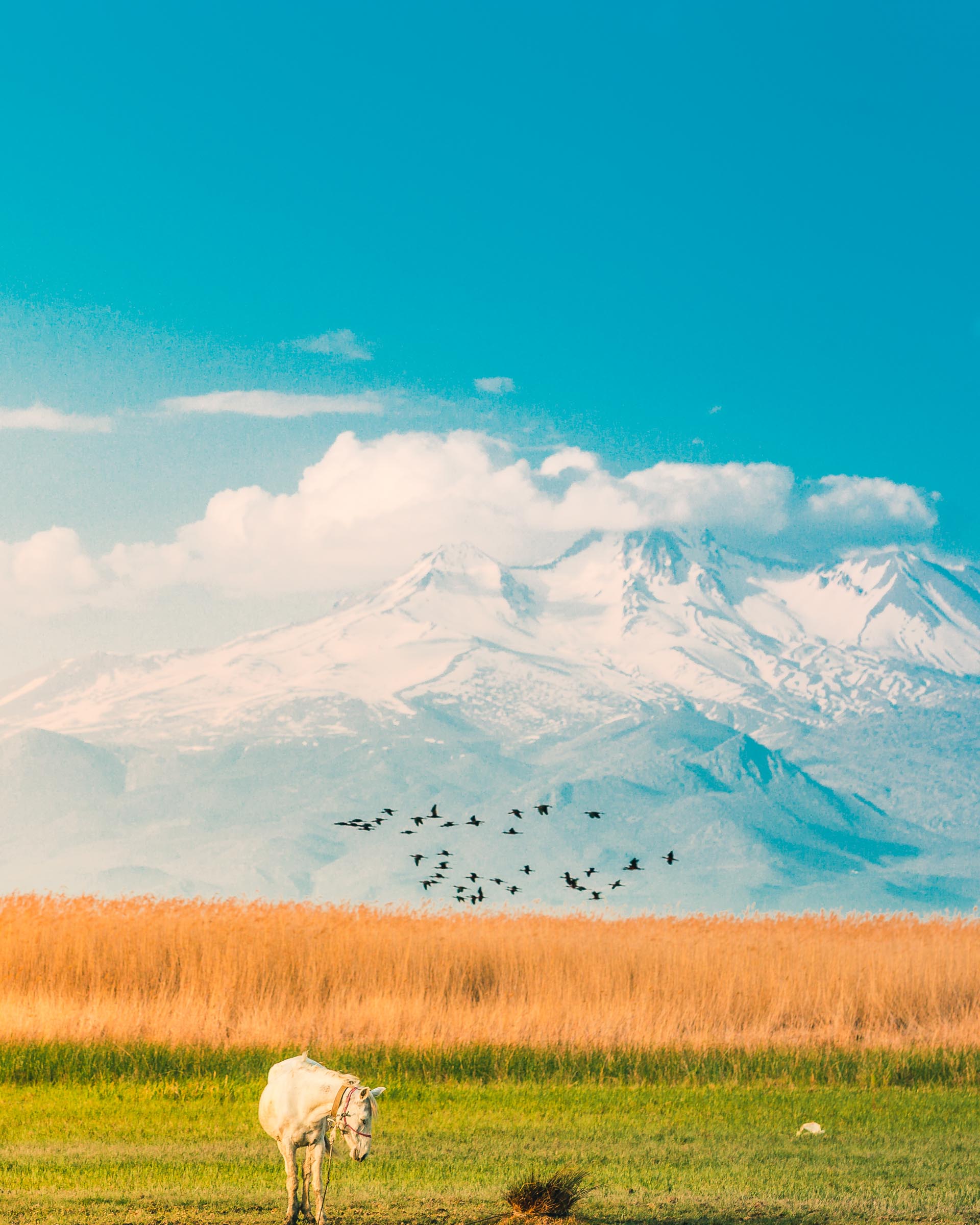 Sultansazlığı Wetlands