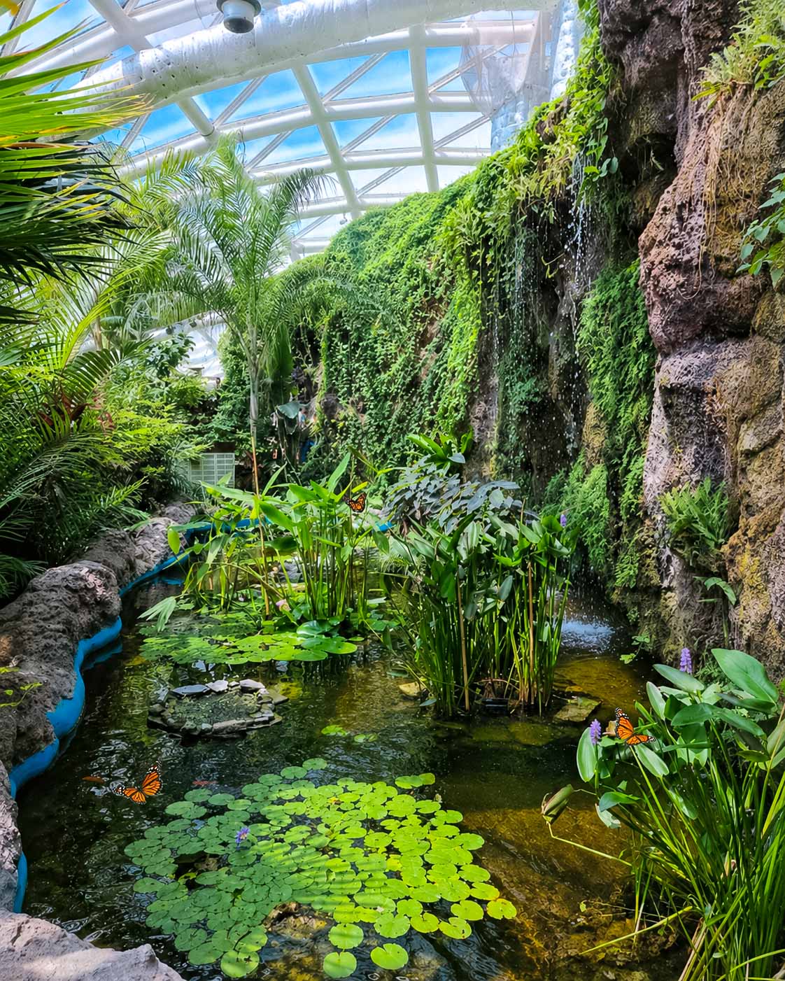 Konya Tropical Butterfly Garden