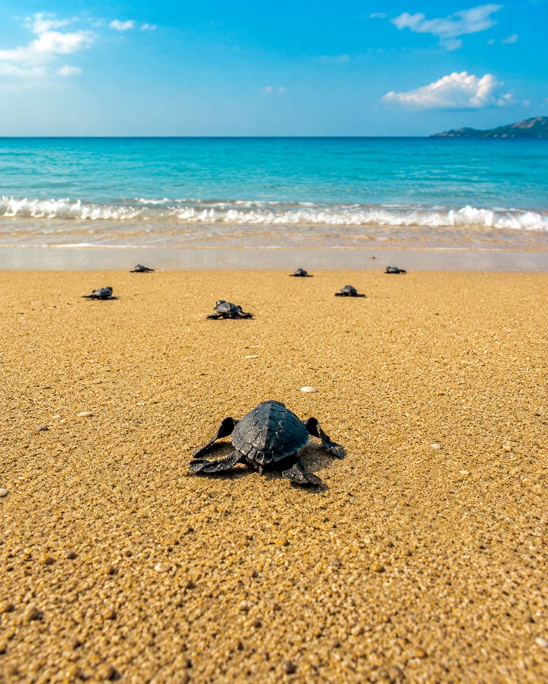 İztuzu Beach