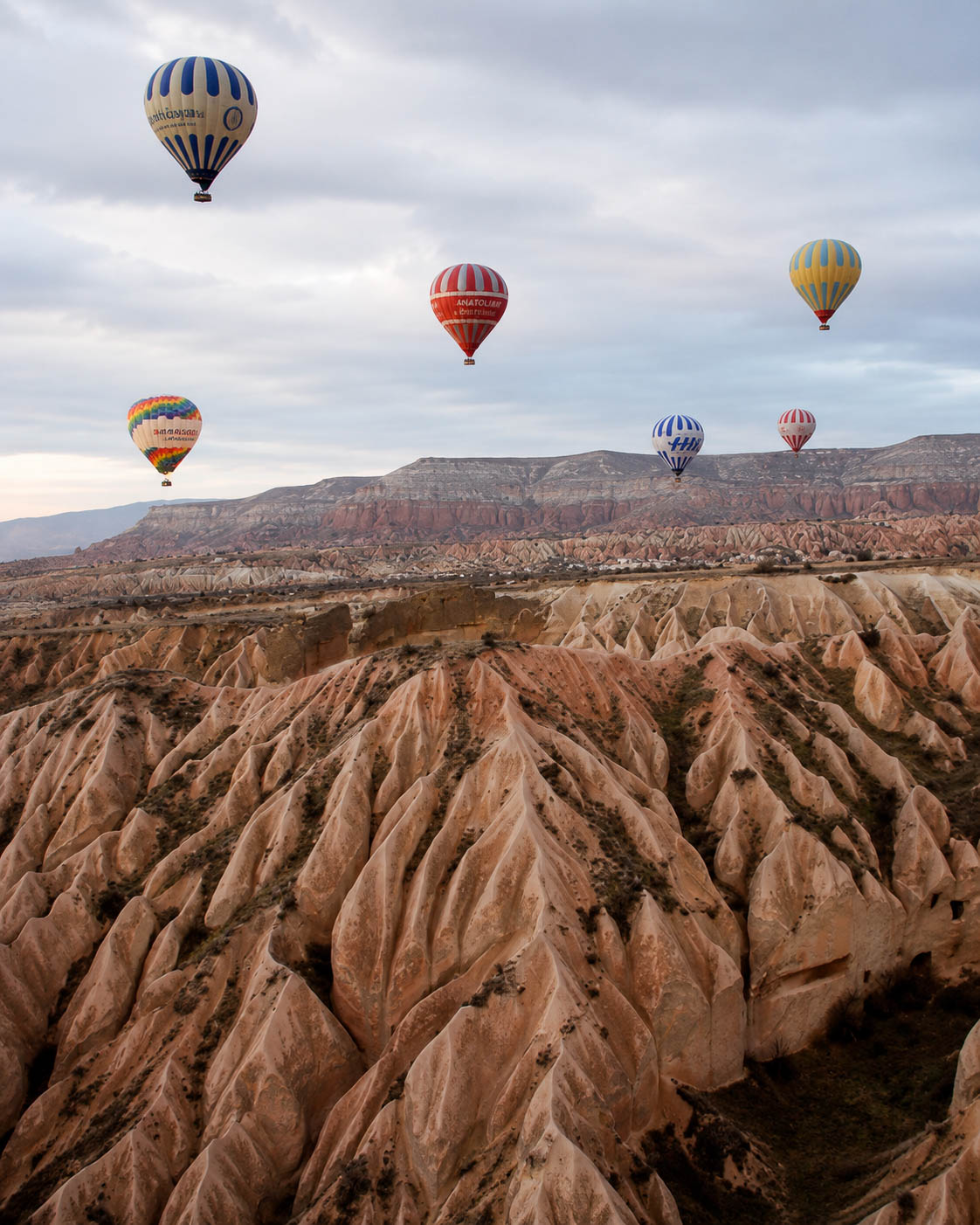 Rose Valley