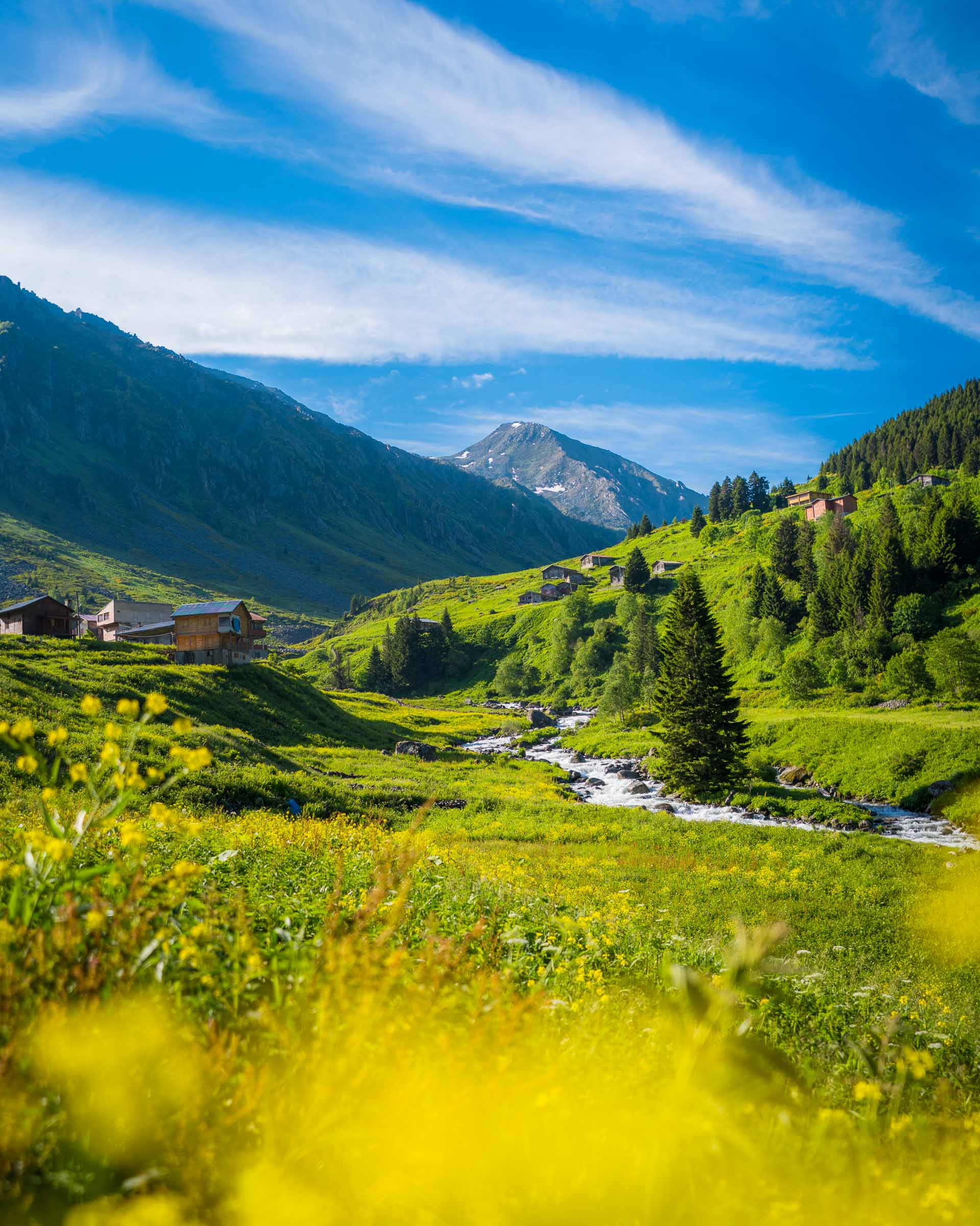 Elevit Plateau