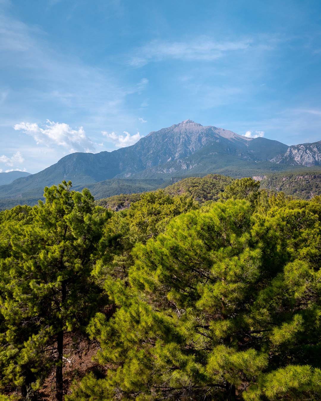 Phaselis bay with boats below pine forest and Mount Tahtalı