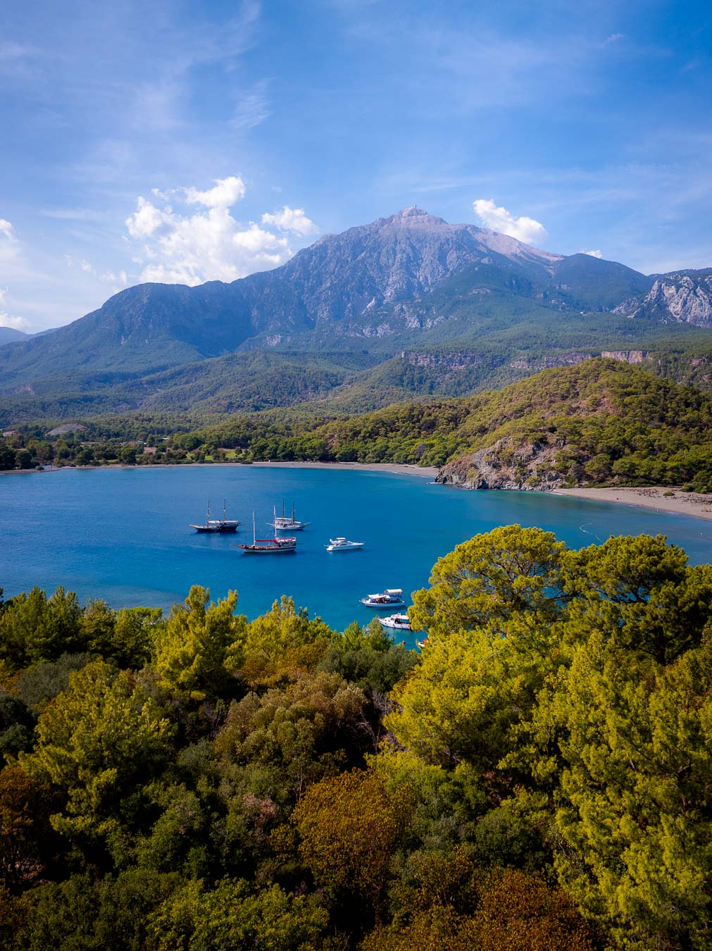 Pine forest running down to a bay at Phaselis, with Mount Tahtalı behind
