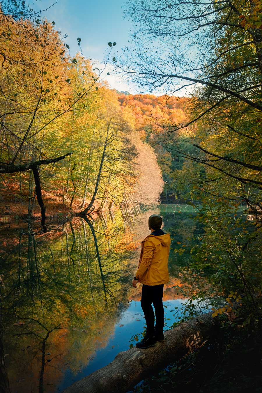 A visitor standing at the edge of a Yedigöller lake among autumn trees, Bolu