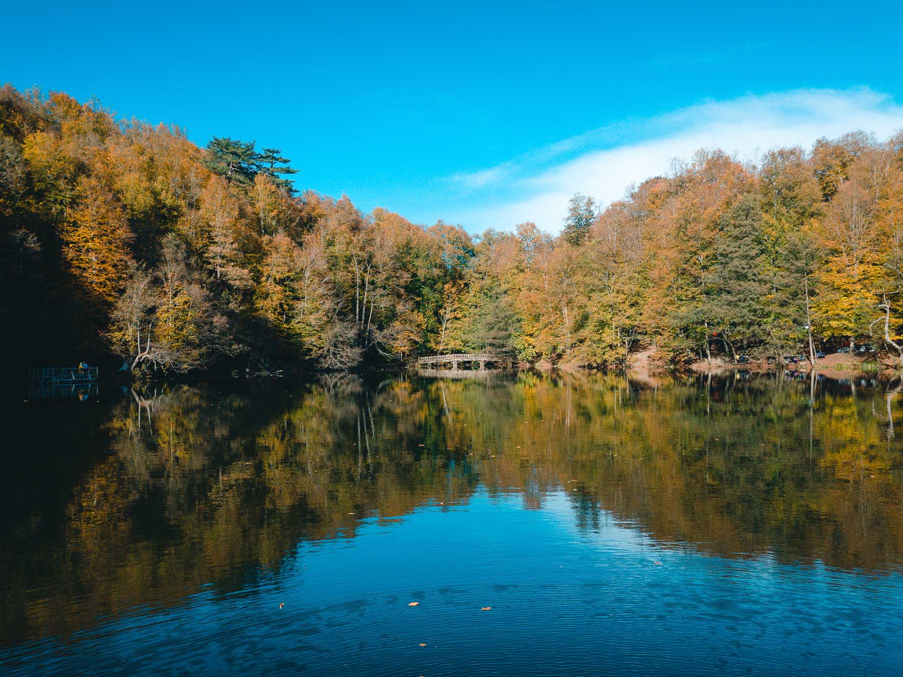 Autumn forest reflected in one of the Yedigöller lakes in Bolu