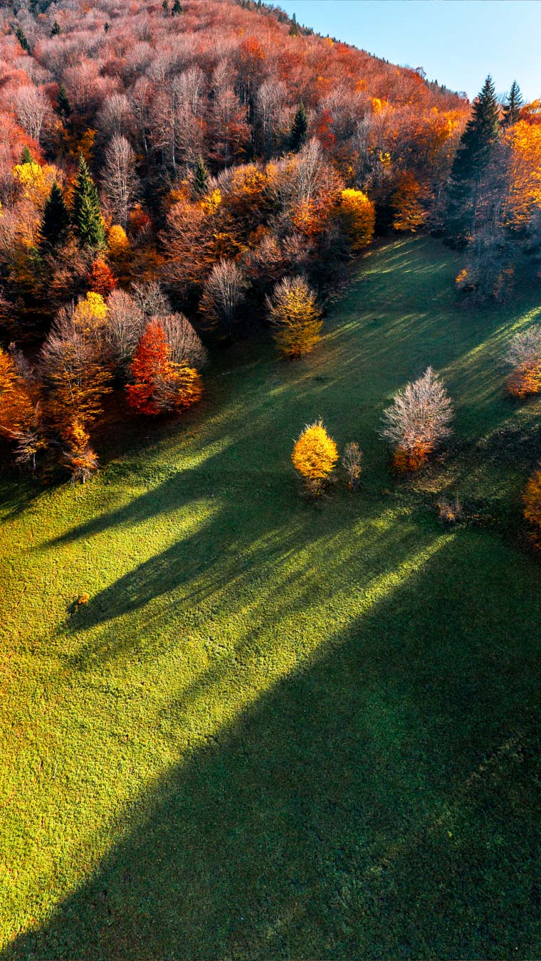 Autumn trees and green meadow on the Kümbet plateau