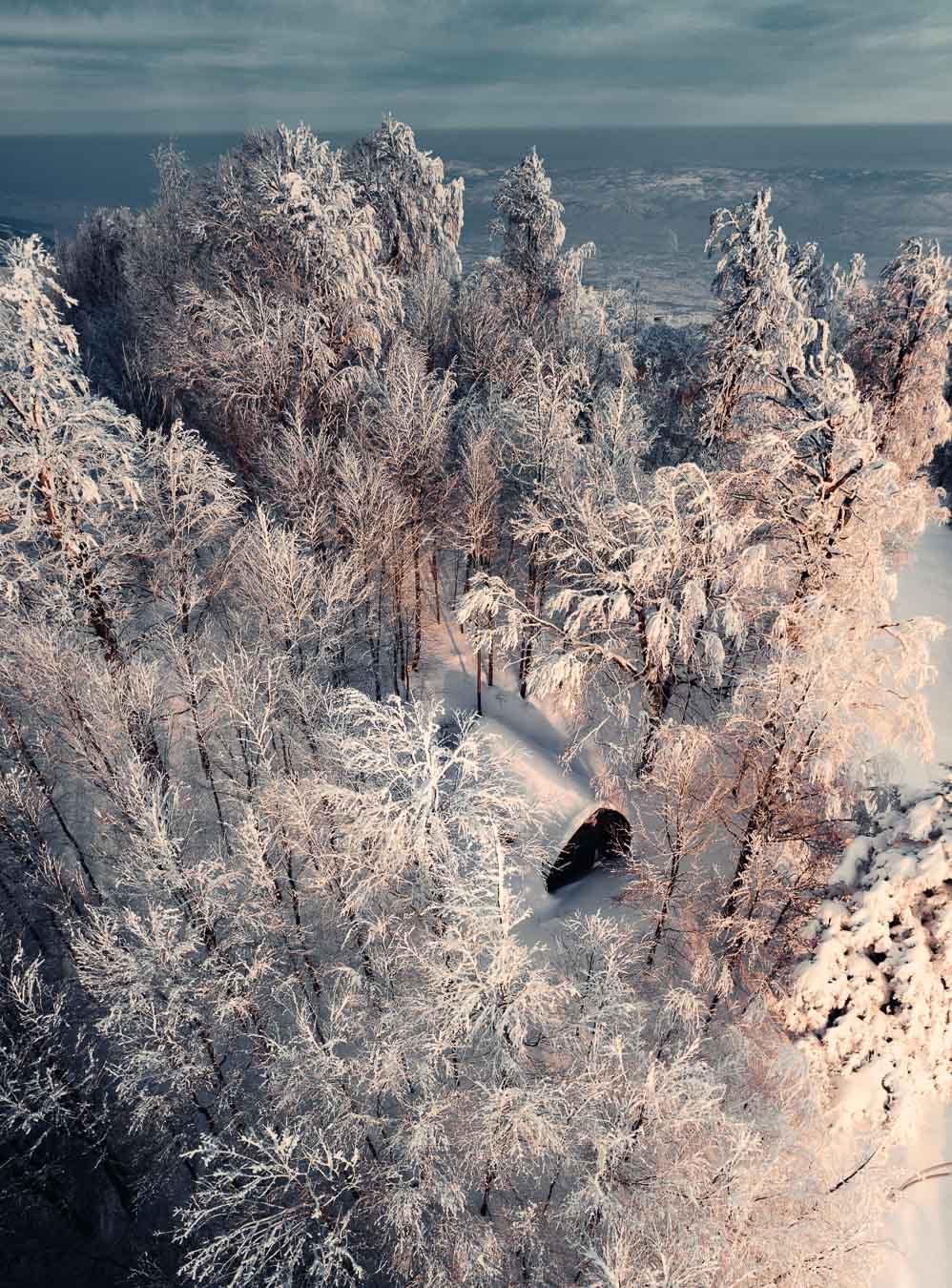 Snow-covered fir forest on Kartepe, seen from above