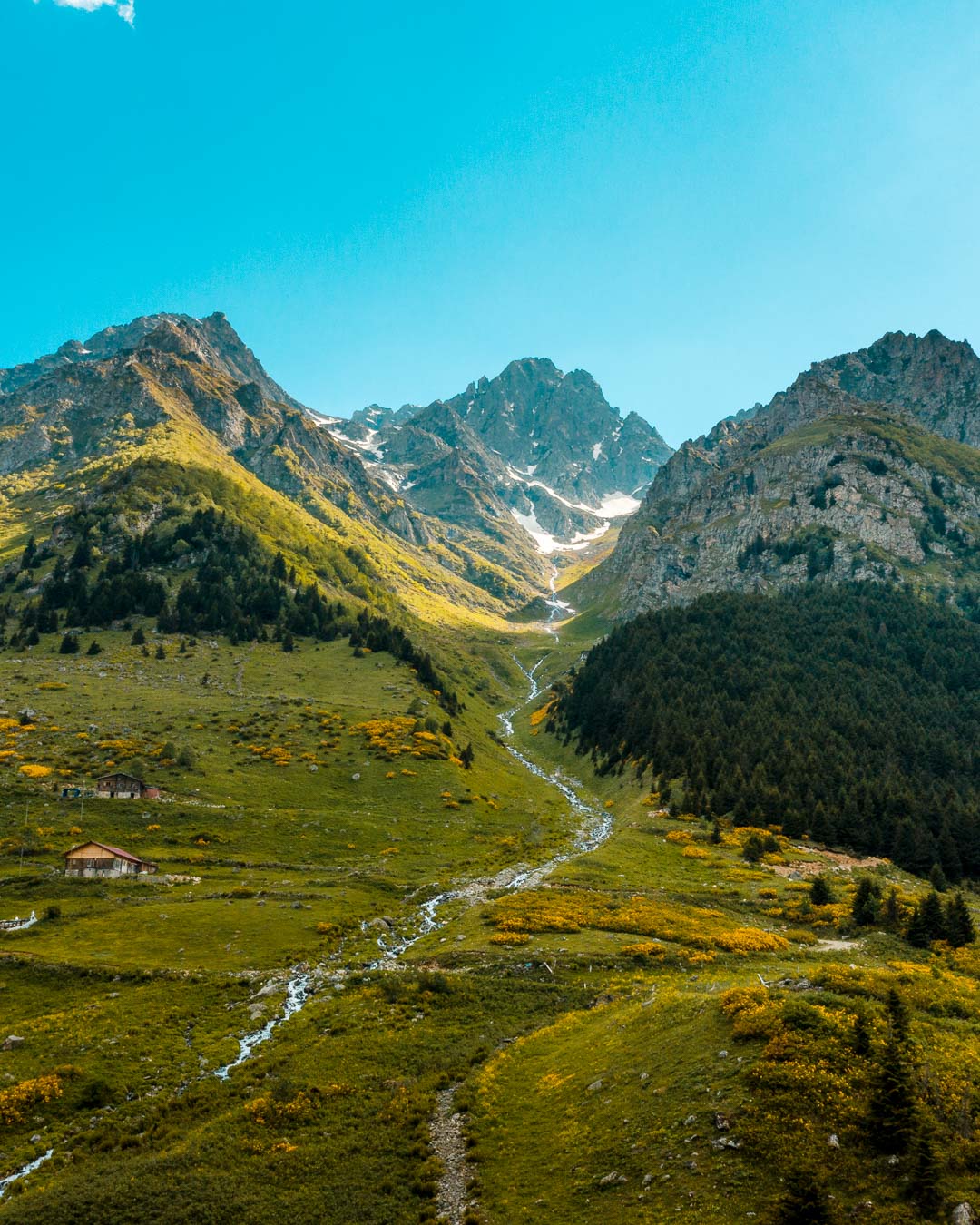 Green valley with a winding stream below rocky Kaçkar peaks