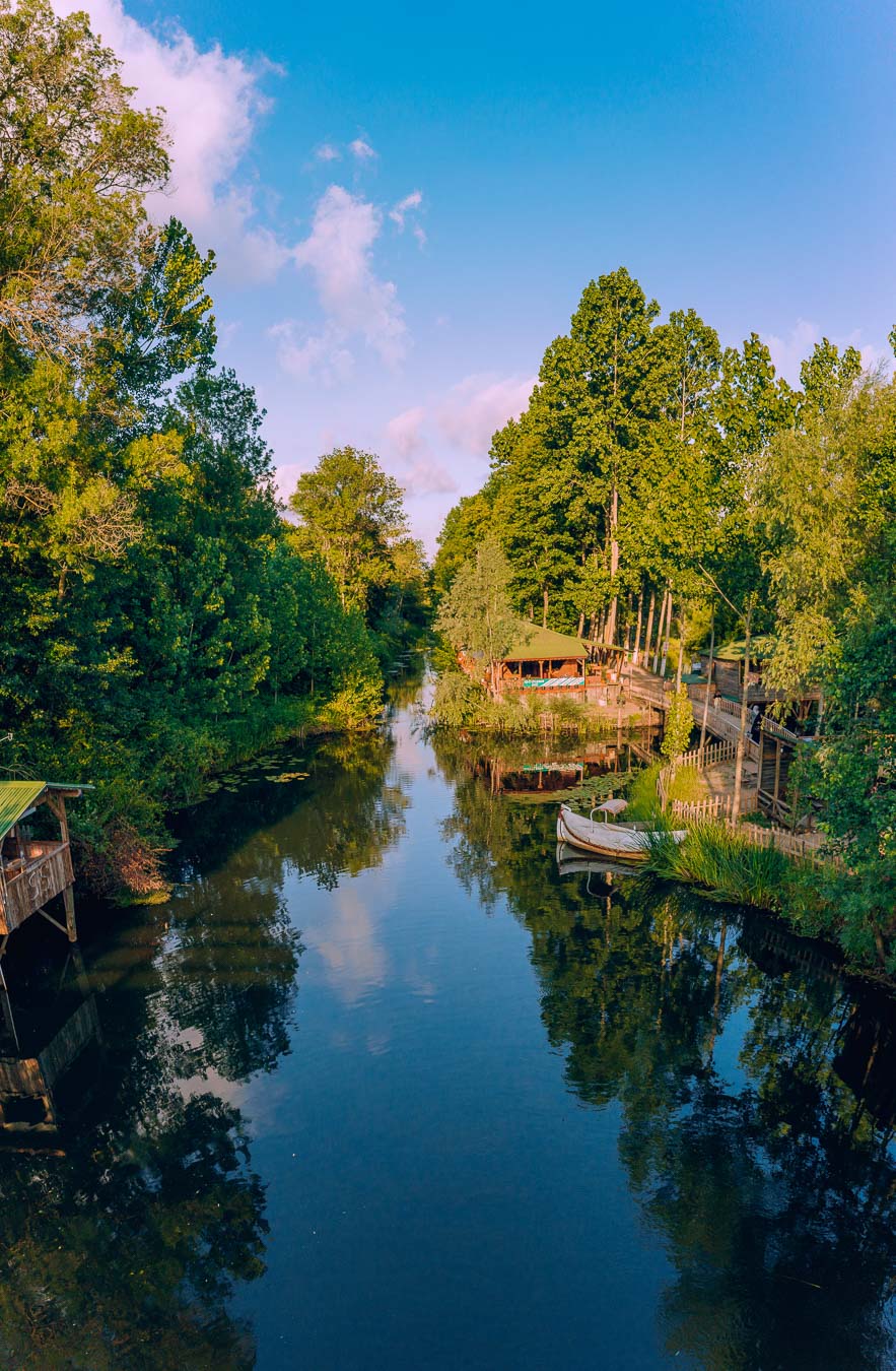 Flooded forest at Acarlar with trees reflected in still water under a blue sky